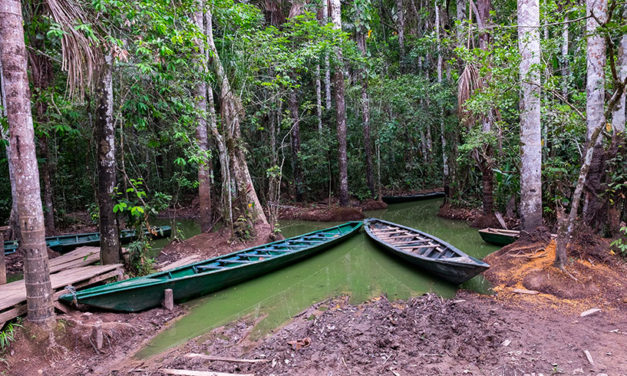 Puerto Maldonado : Bienvenidos a la selva